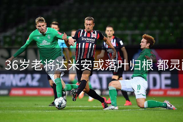 36岁老将达米安或落叶归根 都灵酝酿11年后卫线重磅引援